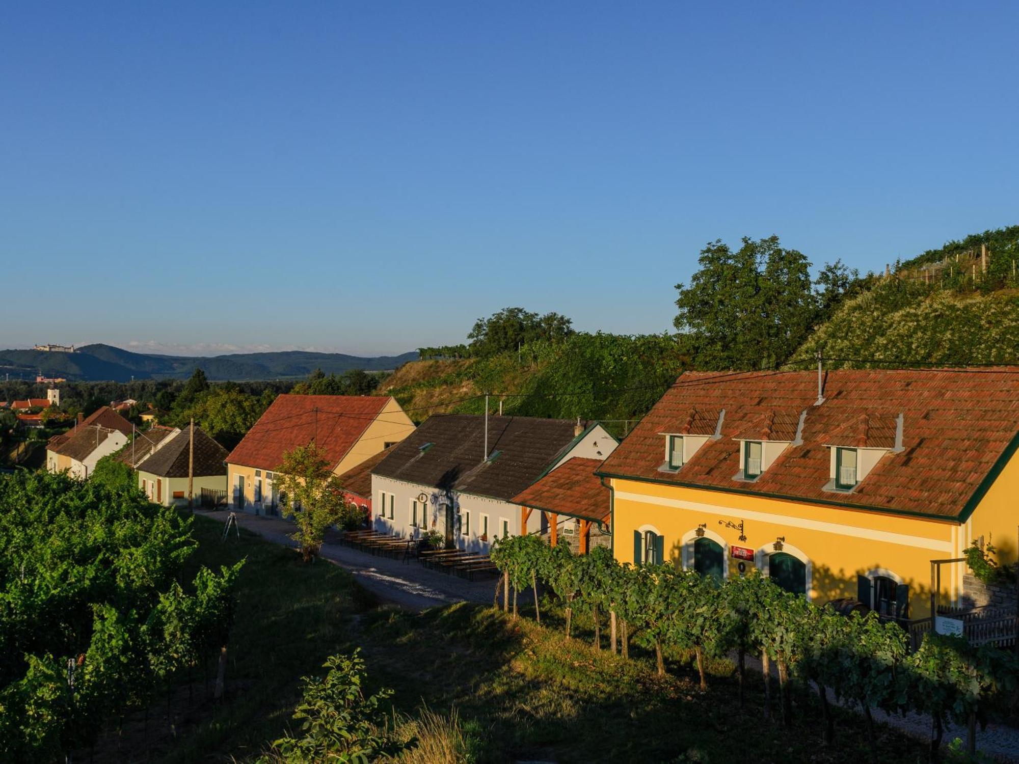 Gaestehaus Familie Trachsler Hotel Rohrendorf bei Krems Eksteriør billede