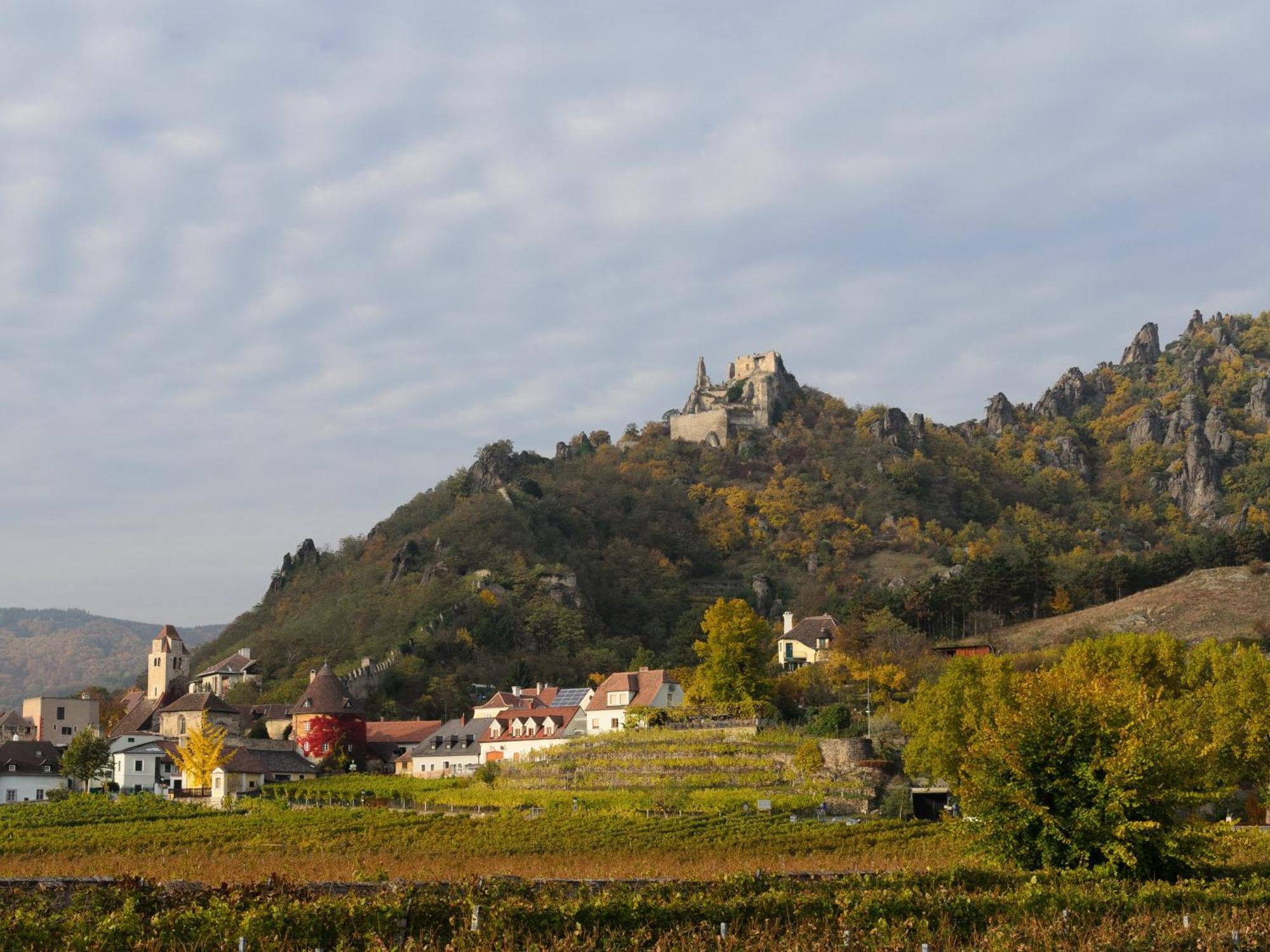 Gaestehaus Familie Trachsler Hotel Rohrendorf bei Krems Eksteriør billede